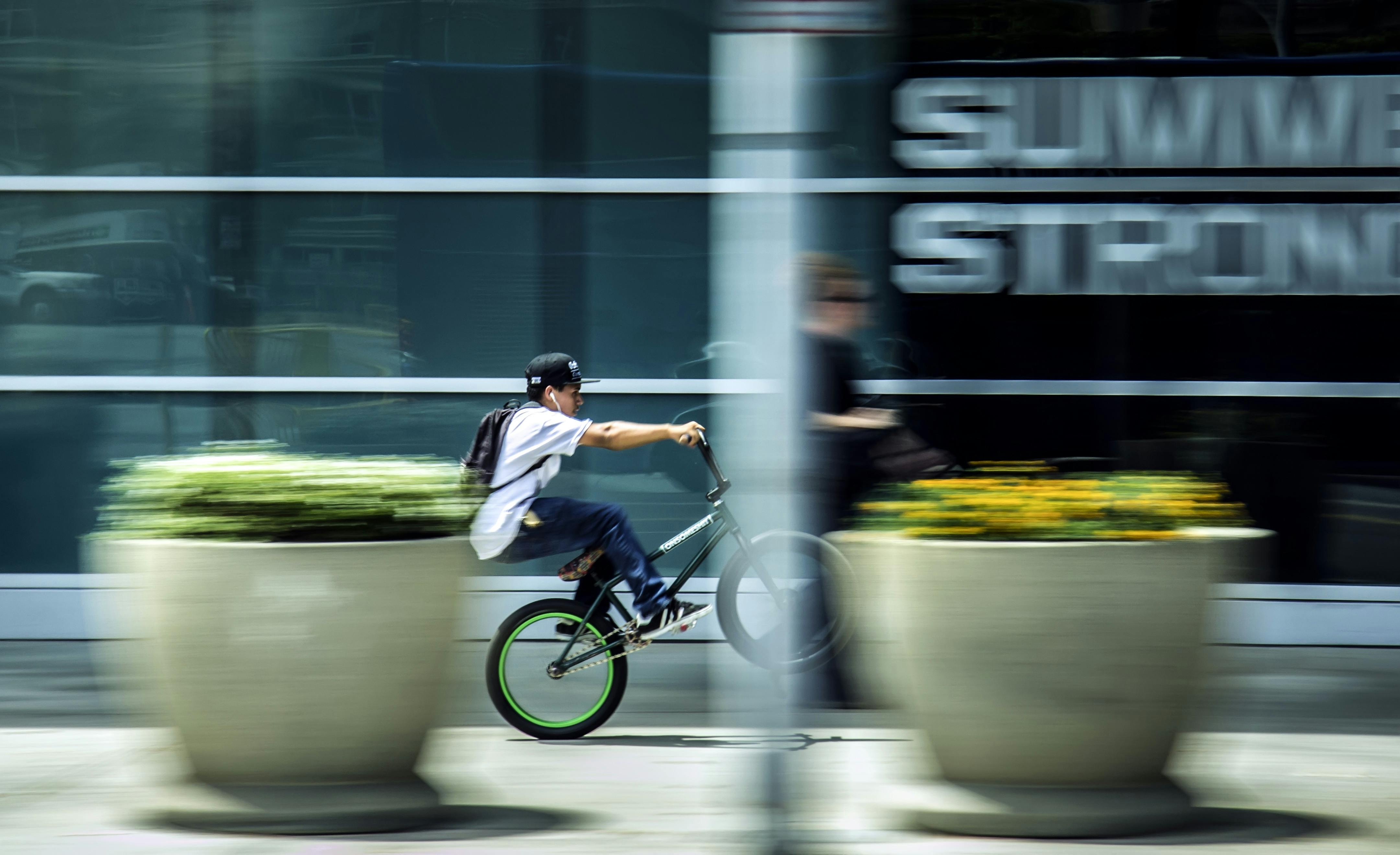 Motion Graphics